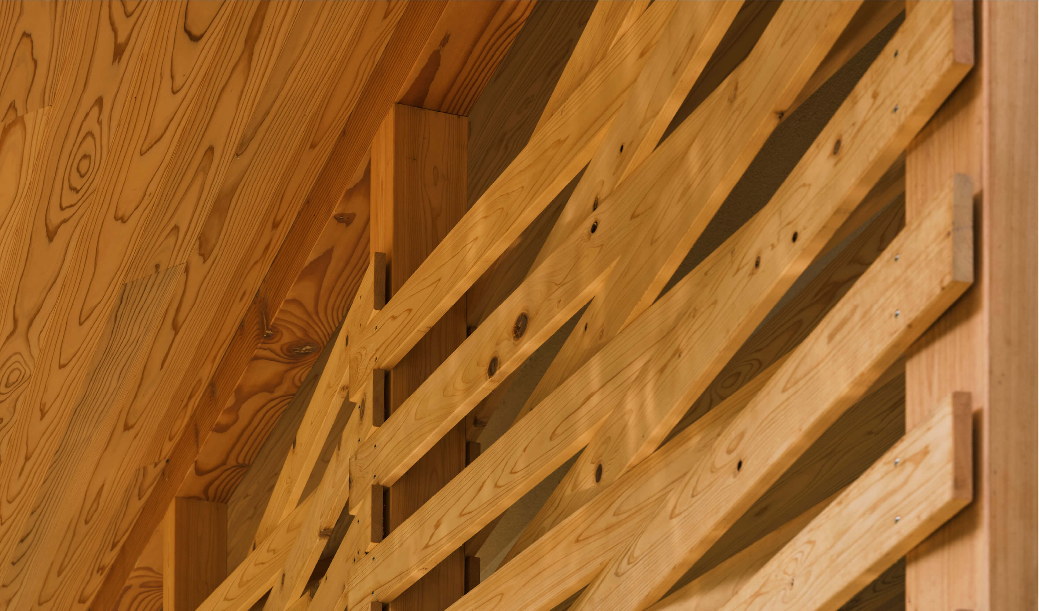 構造イメージ画像